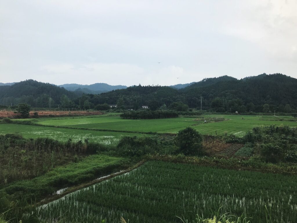 farm land. vegetable garden with hills in the background